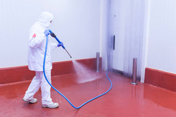 Reliable Lamoni, IA Pressure Washing Solutions
